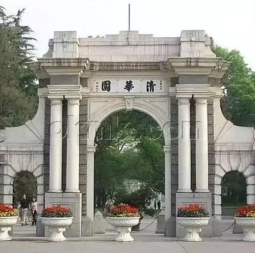 清华女研究生,1993年执意嫁到非洲,在当地生活26年,有5个孩子