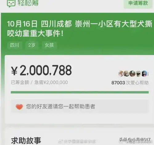 女生和狗狗的头像退款