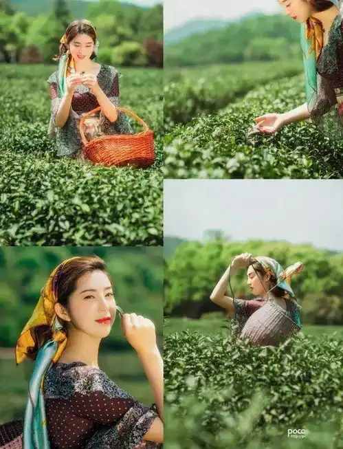 照片还是油画进阶田园风光人像后期