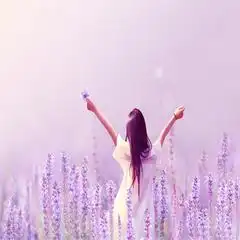 曾经的歌系列4水木年华