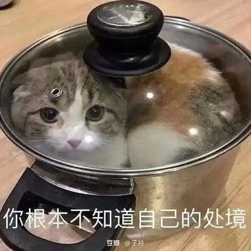 重男轻女的国度