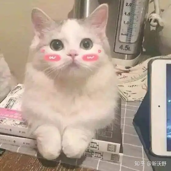 冬天可以喝洋槐蜜吗冬天蜂蜜会结晶吗