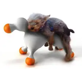 人类对狗狗爬跨行为的误解