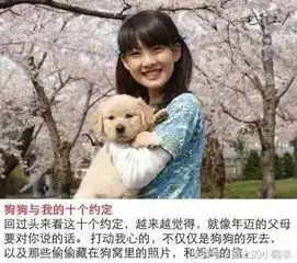 15部关于狗狗的电影推荐