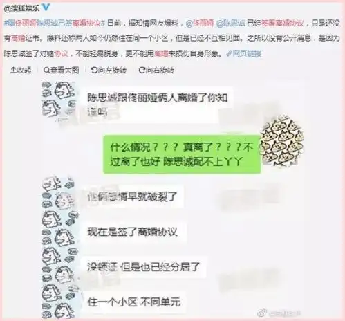 佟丽娅离婚协议细节曝光他净身出户36岁熟女的心机和野心,都暴露了