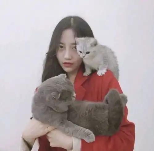 头像想哭就哭吧别撑着你又不是雨伞