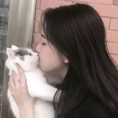 少女与猫头像闪电