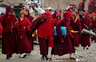 揭秘藏传佛教出家女性的历史和现状