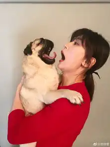 贾静雯和狗狗做鬼脸吐舌翻白眼似鬼马少女