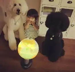 宝宝和狗狗的故事,这场景好暖