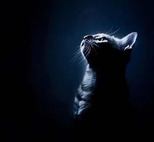 恋爱谈多了对将来的影响大不大过来人都懂,这些星座更要注意