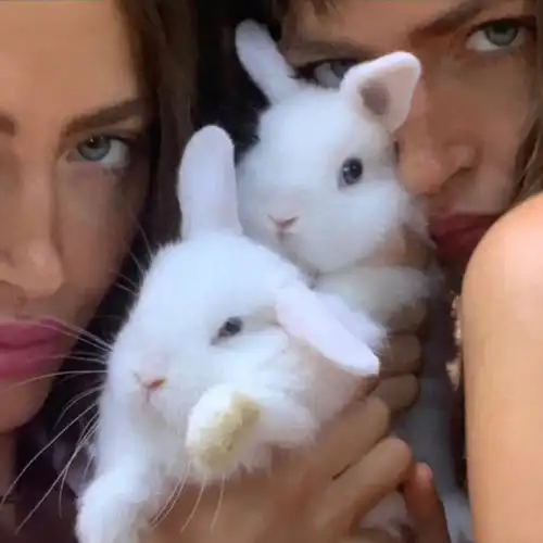 真人女头不刻意的拽拽头像