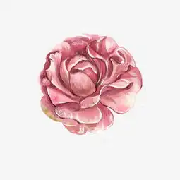 情人节花粉红色手绘细致少女心png免抠图图片素材其他格式下载动漫人物大全