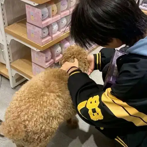 ins不露脸头像