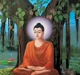 对待这三件事,看看佛家是如何说和做的