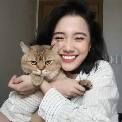 猫咪少女卡通头像