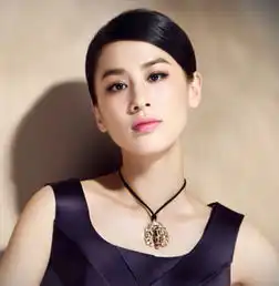 赵本山身边的十大美女