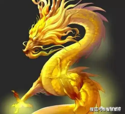 龙的头像大全大图霸气