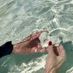 爱上上帝的水族箱帕劳详细攻略带大量图片及视频