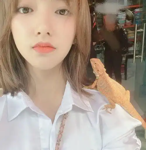 这一届女团出道也太太太太难了