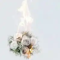 中年女性鲜花微信头像微信头像图片大全