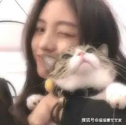 和天秤座相处最默契的星座,幸福指数最高