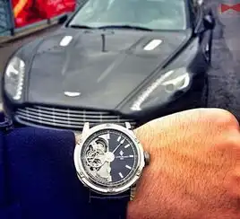 每个男人的梦想名表加豪车