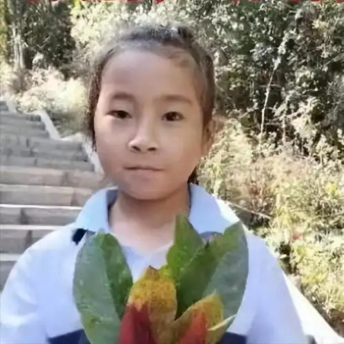 云南女童走失后续失联22天,姑姑突然深夜发文,曝光更多细节