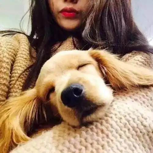 七夕特供18招教你搞定爱狗的女神大敌当前,就要简单粗暴