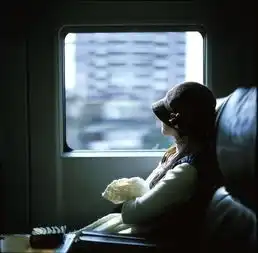 窗外掠过什么风景,这并不重要
