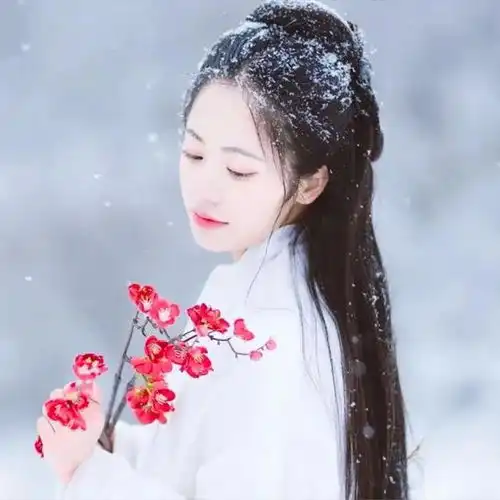天蝎座我与梅花两白头,蓦然风雪又一年