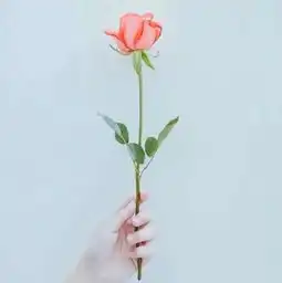 初雪遇见真爱,女生表白攻略及时拯救你