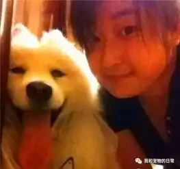女孩捡了只遍体鳞伤的流浪狗回家,被各种嫌弃,结果1年后逆转成白富美