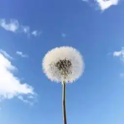 路边有个幸福的女人
