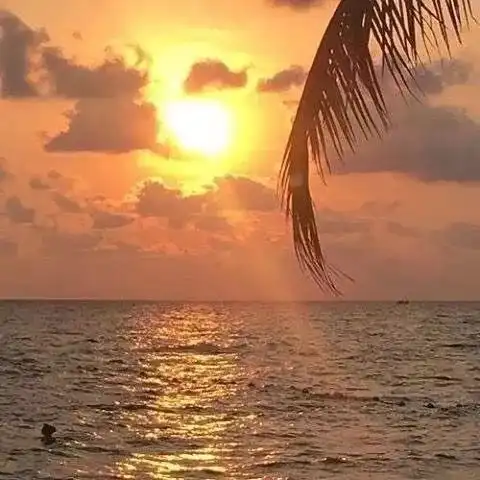 2019开年水逆大戏,收下这份转运秘籍才能翻身当锦鲤