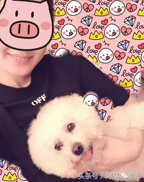 赵丽颖与爱犬合拍,粉丝第一次羡慕一只狗
