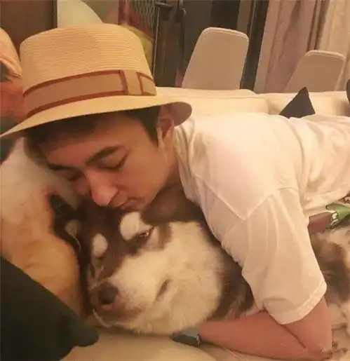 人不如狗系列狗狗可以有多土豪