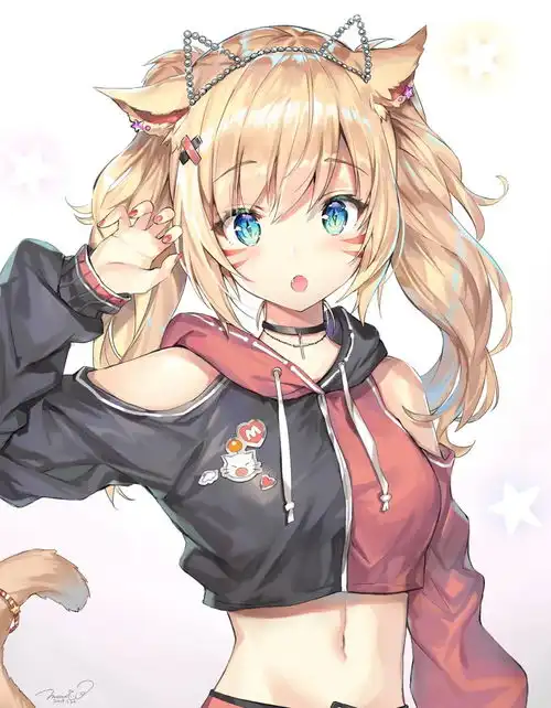 动漫美图猫耳少女合辑