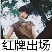 动我姐妹全撂倒个性带字女生头像