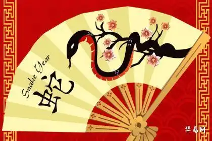 属蛇未来十年运势及运程