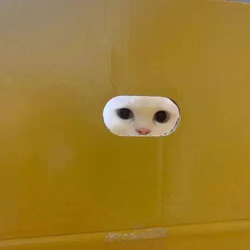 搞怪头像第一期可爱女孩子必备啦