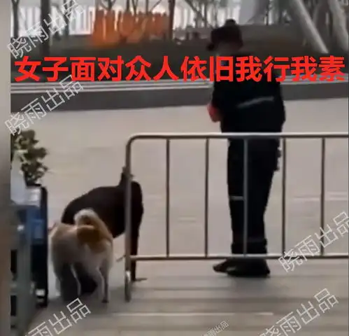 女生和狗狗的头像爬跨