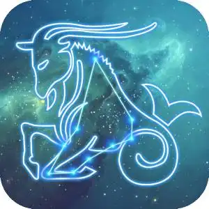 摩羯座代表着什么寓意80网友不明白
