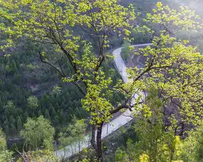 北京房山凤凰山公园景区,你的美将不再沉寂因为来了欣赏你的人