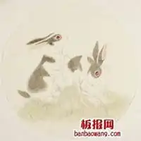 属兔带来财运微信头像微信头像图片大全