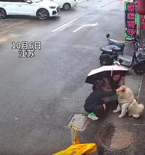 女子摸陌生狗狗脸部被撕咬,当场倒地痛苦哀嚎,人不能吃得太饱了