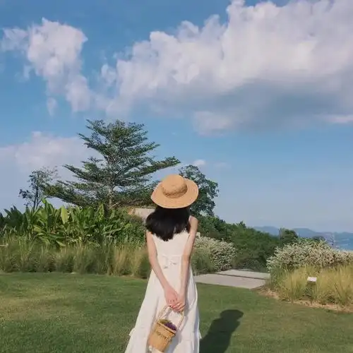 多种风格的头像