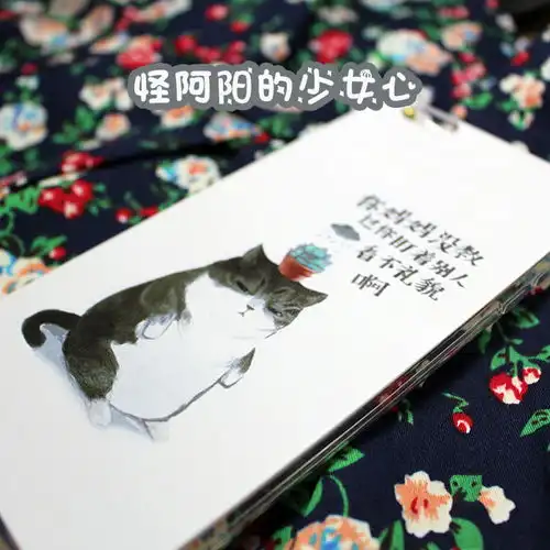 怪阿阳的少女心的相册呆萌不要太可爱动物系列