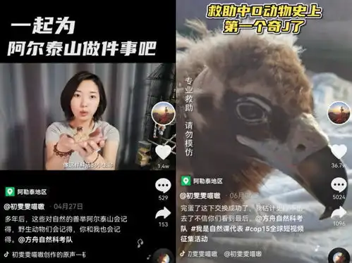 90后女孩在抖音教网友保护野生动物,被称河狸公主