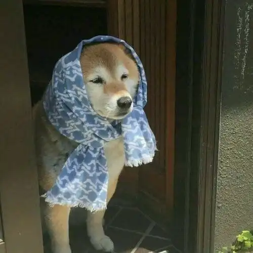 当你玩大冒险输了